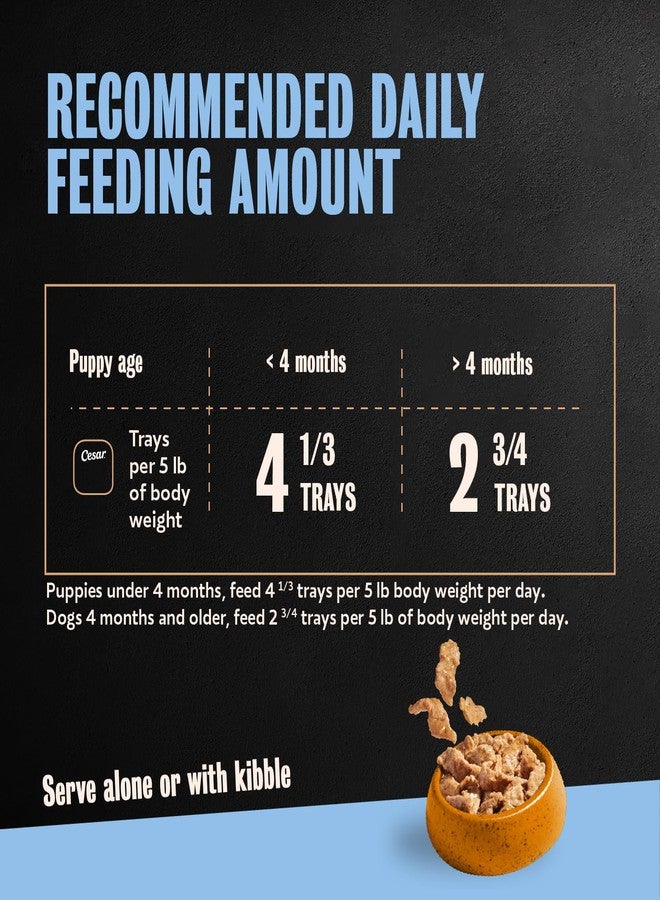 Cesar Puppy Filets in Gravy Wet Dog Food, Chicken Recipe, 3.5 oz. Easy Peel Trays, Dog Food Toppers, 24 Count - Image 5