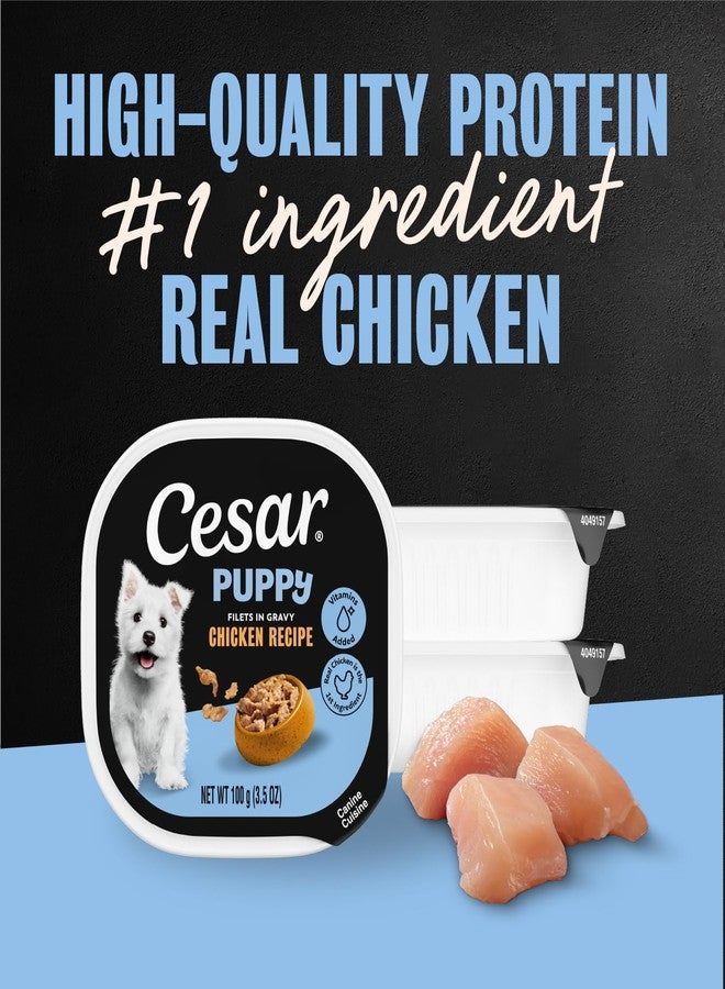 Cesar Puppy Filets in Gravy Wet Dog Food, Chicken Recipe, 3.5 oz. Easy Peel Trays, Dog Food Toppers, 24 Count - Image 4