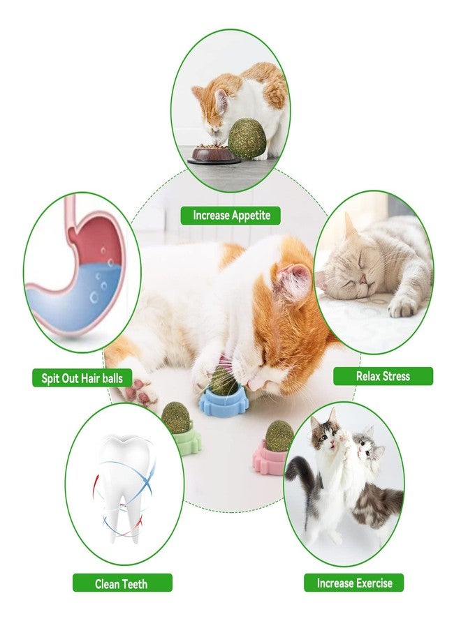 Aucenix Catnip Balls Toy for Cat, Wall Catnip Roller for Cat Licking, Teeth Cleaning Dental Edible Kitten Toy, Natural Rotating Crab Cat Toy (3 Colors) - Image 4