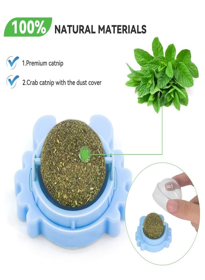 Aucenix Catnip Balls Toy for Cat, Wall Catnip Roller for Cat Licking, Teeth Cleaning Dental Edible Kitten Toy, Natural Rotating Crab Cat Toy (3 Colors) - Image 5