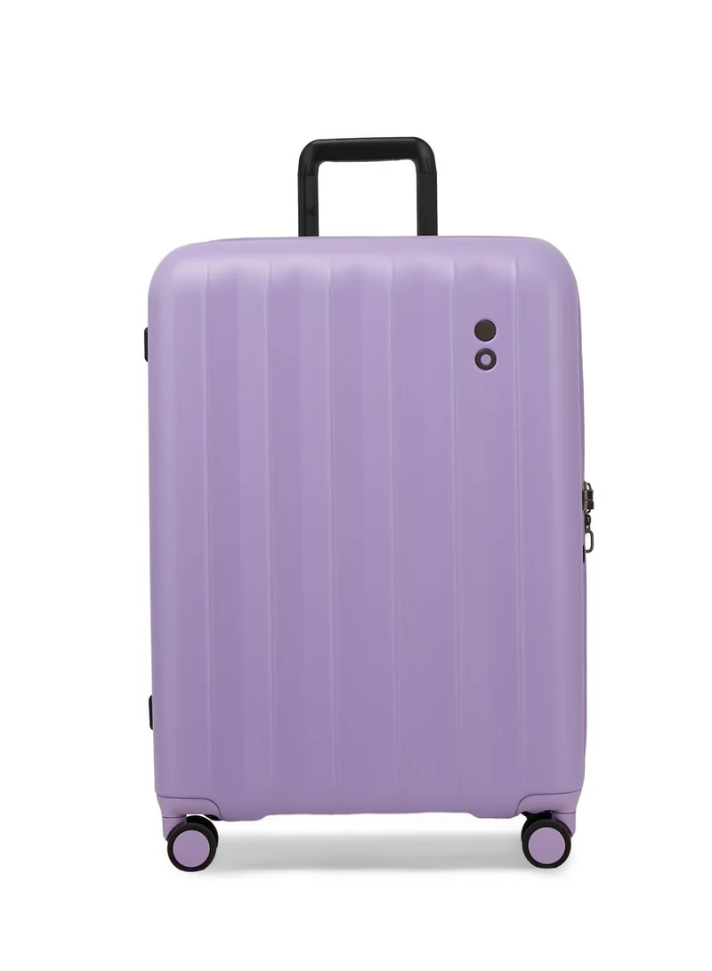 Echolac Amos 65cm Pro Violet Tulip
