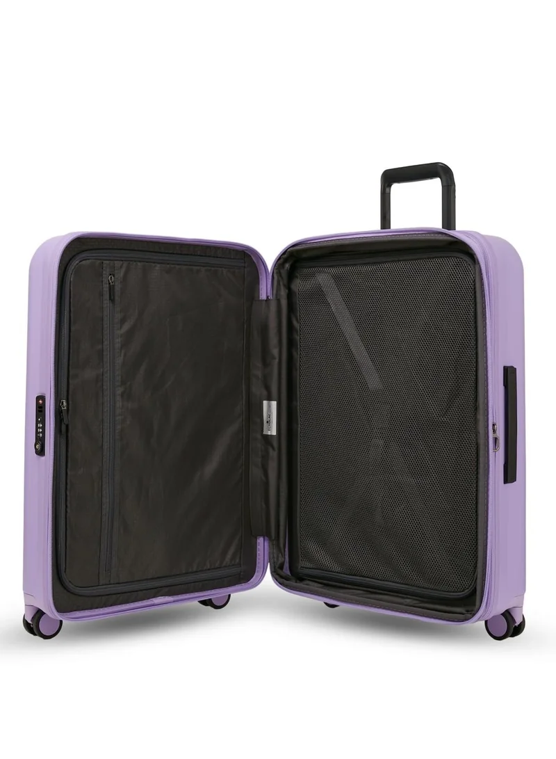 Echolac Amos 65cm Pro Violet Tulip