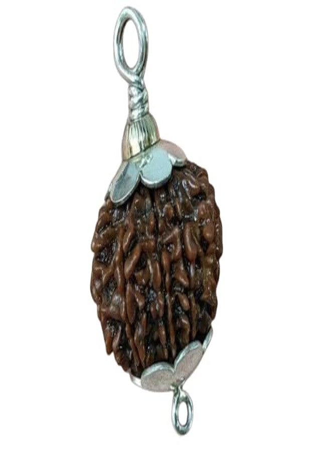 IRIS GEMS 12 Mukhi Rudraksha Original Certified Natural 12 Face Nepal Rudraksha Energized 12 मुखी रुद्राक्ष Twelve Face Rudraksha With Pendant Or Laal Dori Rudraksha 12 Mukhi For Men & Women - Image 1