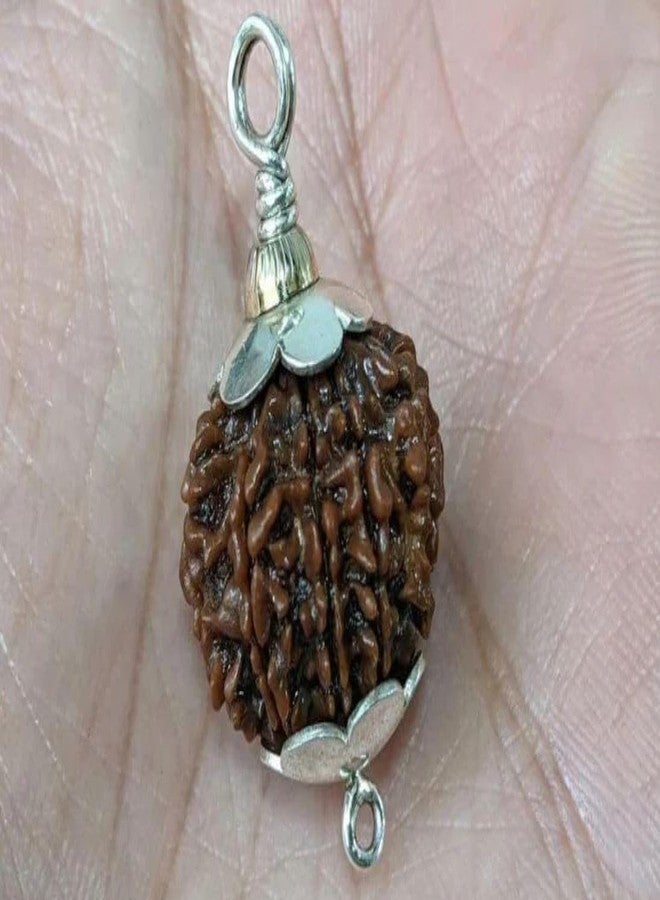IRIS GEMS 12 Mukhi Rudraksha Original Certified Natural 12 Face Nepal Rudraksha Energized 12 मुखी रुद्राक्ष Twelve Face Rudraksha With Pendant Or Laal Dori Rudraksha 12 Mukhi For Men & Women - Image 4