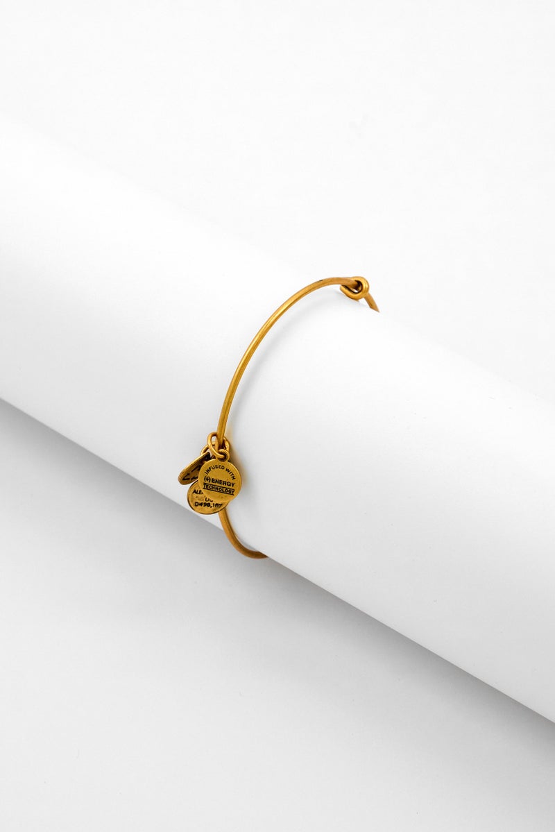 ALEX AND ANI Women 6 Number Charm Bangle, Rafaelian Gold  - Image 3