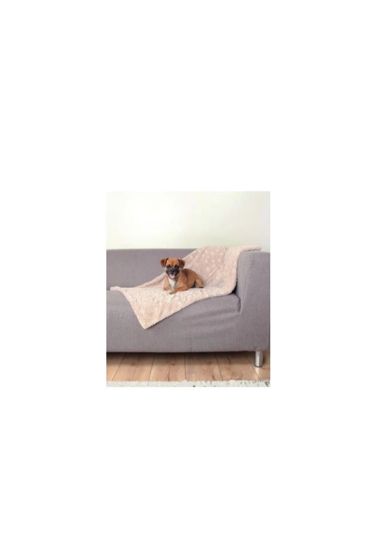 تريكسي بطانية تريكسي كوزي بيج للكلاب - Image 3