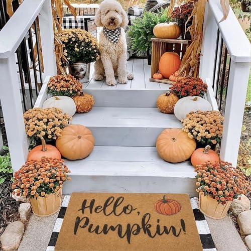 IZUS Hello-Pumpkin Welcome-Doormats - Non-Slip Coir Entrance-Mat Fall-Harvest-Festival Front-Door-Mat Porch-Rugs Home-Decor 17x29inch - Image 5