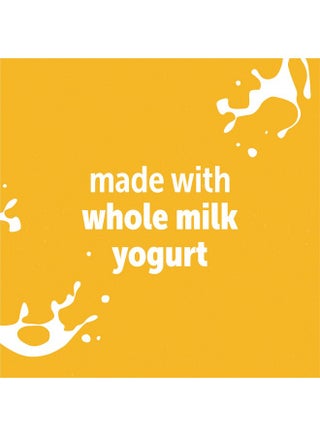 Beech-Nut Toddler Food Breakfast Pouches,Yogurt Banana & Mixed Berry Puree Baby & Toddler Food, 3.5 oz (12 Pack) - pzsku/Z037730F856F0B3E9C863Z/45/_/1737031290/f1f2b396-0e27-41ba-a9ed-a0a0e2419cca