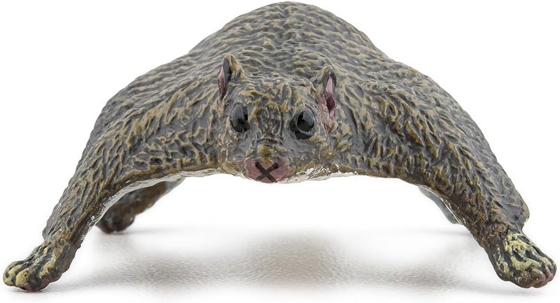 Papo Realistic Flying Squirrel Figure Ages 3 Wild Life Collection Educational Play Forest Animals Gift Idea Toy for Girls and Boys - Image 4