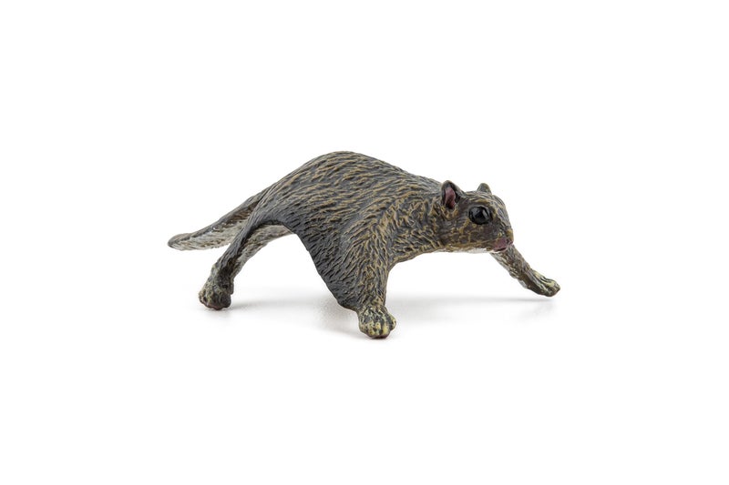 Papo Realistic Flying Squirrel Figure Ages 3 Wild Life Collection Educational Play Forest Animals Gift Idea Toy for Girls and Boys - Image 2