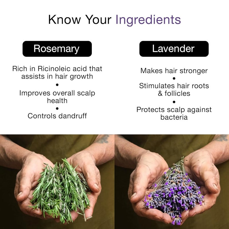 Soulflower Soulflower Rosemary Lavender Hair Oil for Healthy Hair Scalp Hair Roots 100 Pure Natural Undiluted Coldpressed Oil 225ml Pack of 2 - Image 3