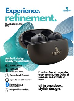 GRABIT True Wireless Earbuds in metal with Premium Sound & Durability enjoy rich bass and clear audio with 13mm drivers in a sleek metal case. Get 6-hour playtime, fast 1.5-2 hour charging, and an ergonomic fit for comfort. Compatible with iPhone, Samsung, OnePlus, Xiaomi, Huawei, HONOR Google Pixel, iPads, and more. Perfect for work, travel, and gaming.  - Image 2