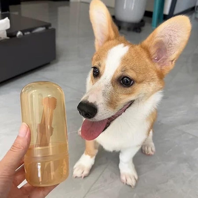 فرشاة أسنان مزدوجة الرأس وكاشطة اللسان للقطط والقطط الصغيرة والكلاب الصغيرة - Image 4