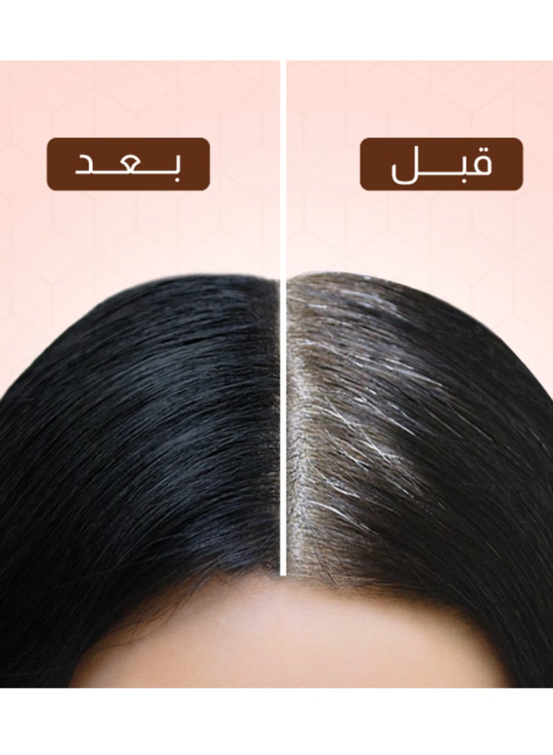 جي بي اورجانيك شامبو صبغة الشعر بزيت الارجان أسود من جي بي 3 في 1 400 مل - Image 3