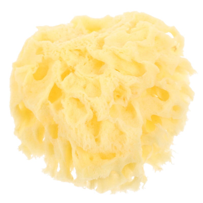 Natural Sea Sponge For Sensitive Skin Gentle Bathing Body Wash 2 5 Inch - Image 2