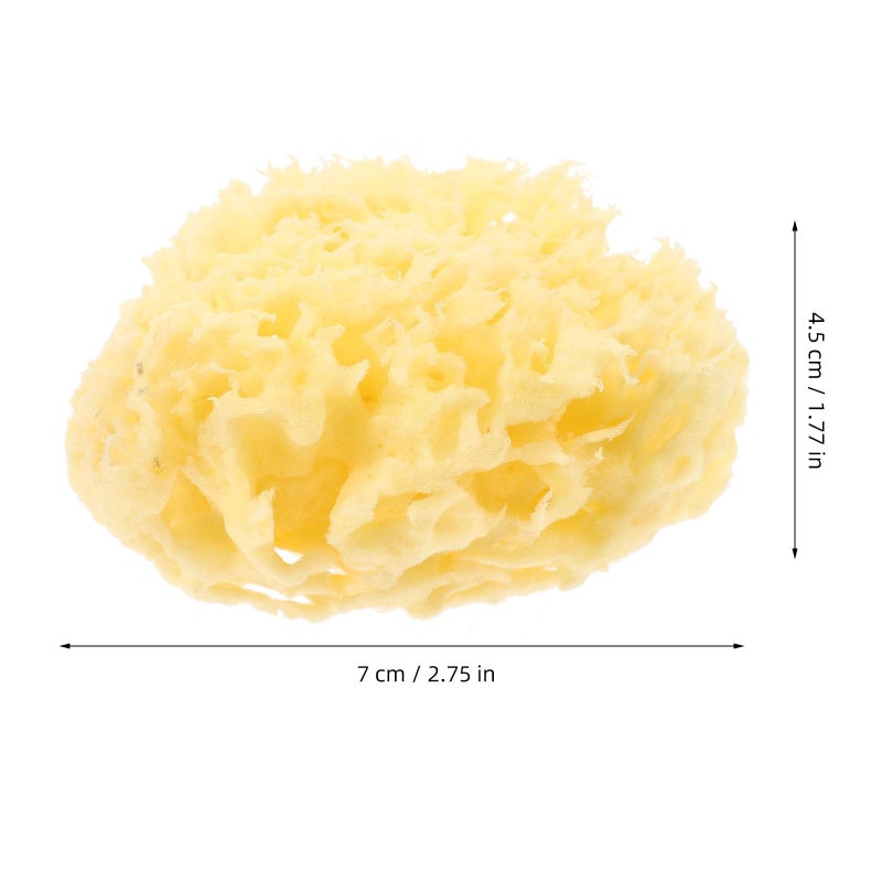 Natural Sea Sponge For Sensitive Skin Gentle Bathing Body Wash 2 5 Inch - Image 5