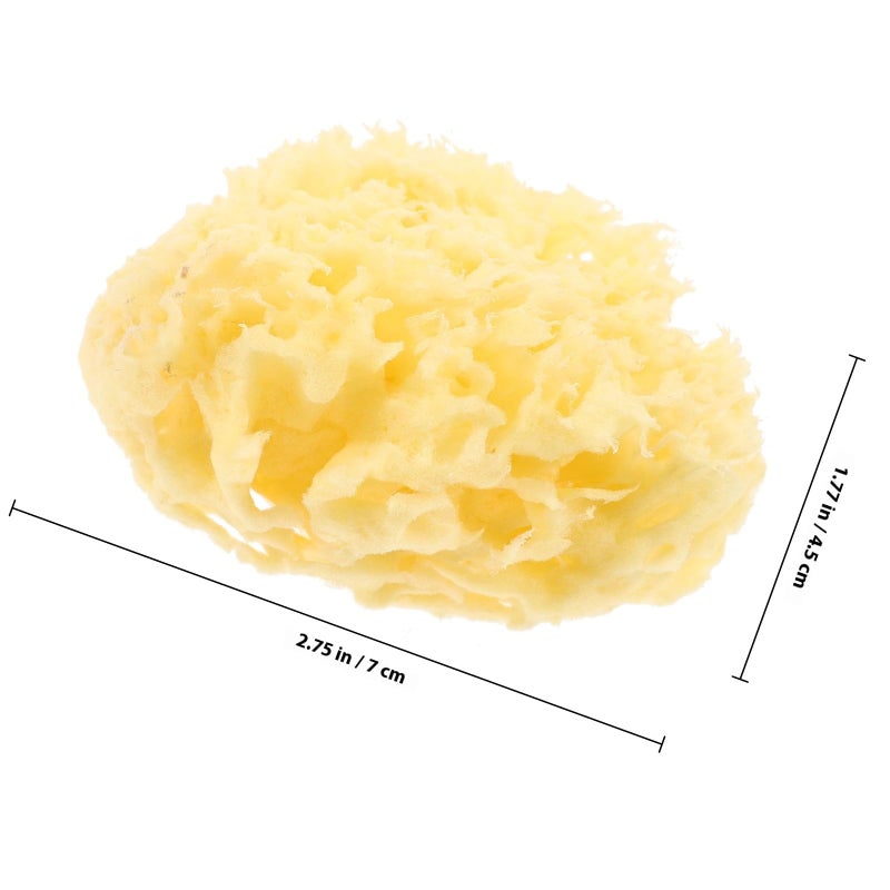 Natural Sea Sponge For Sensitive Skin Gentle Bathing Body Wash 2 5 Inch - Image 3