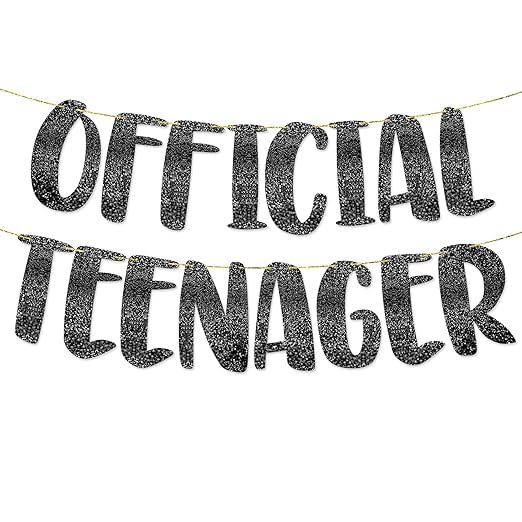 TrifleArte Official Teenager Banner | Black Glitter Design Party Banner | Party Decoration | 13th Birthday Party Supplies | Photobooth Backdrop for Adults | Pre-Strung Reusable Birthday Banner - Image 1