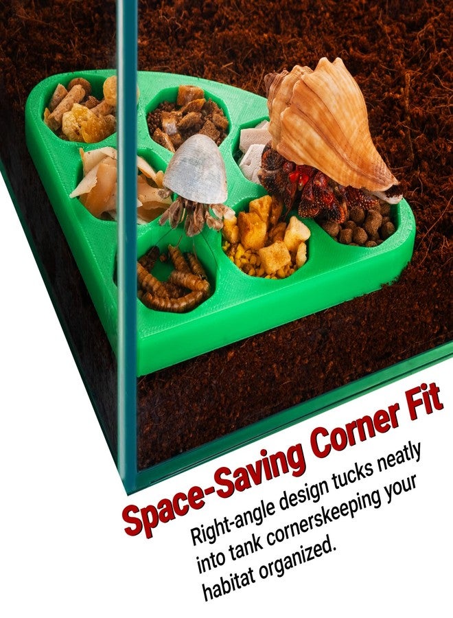 HERPDEN 2pcs Hermit Crab Food Bowl, Corner Design, Space-Saving 7-Compartment Dishes for Reptile & Small Animal Tanks, Hermit Crab Accessories - Image 3