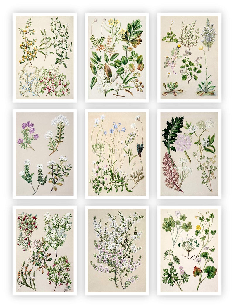 Ink Inc. Botanical Prints Floral Wildflowers Wall Art Prints - Set of 9-5x7- Matte - Unframed - Image 1