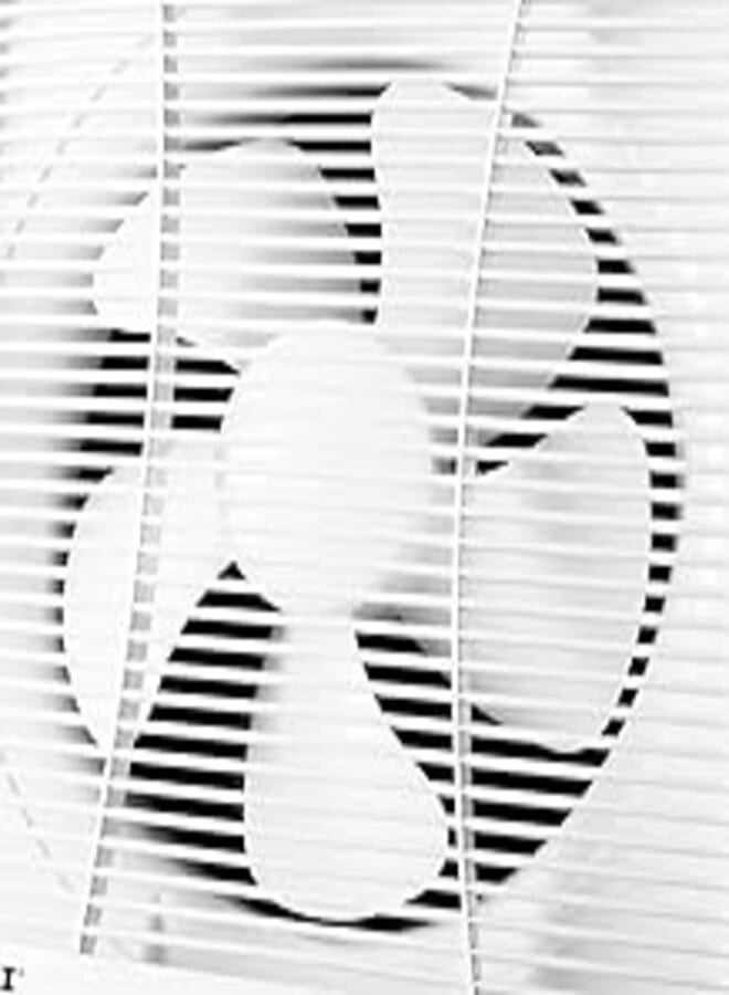 Sonai Sonai Ventilation Fan,free wooden frame, suction and exhaust,cover grill,25 cm,30 Watt,MAR-25G2