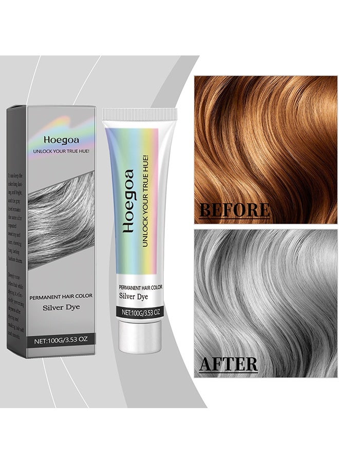 HOEGOA Permanent Hair Color Silver Dye，Silver Gray Natural Hair Dye Cream,Hair Dye Light Gray Silver Color Cream,Gray Silver Color Cream,Grey Permanent Hair Dye,Silver Gray Natural Hair Color Cream,Silver Hair Dye,100g - Image 2