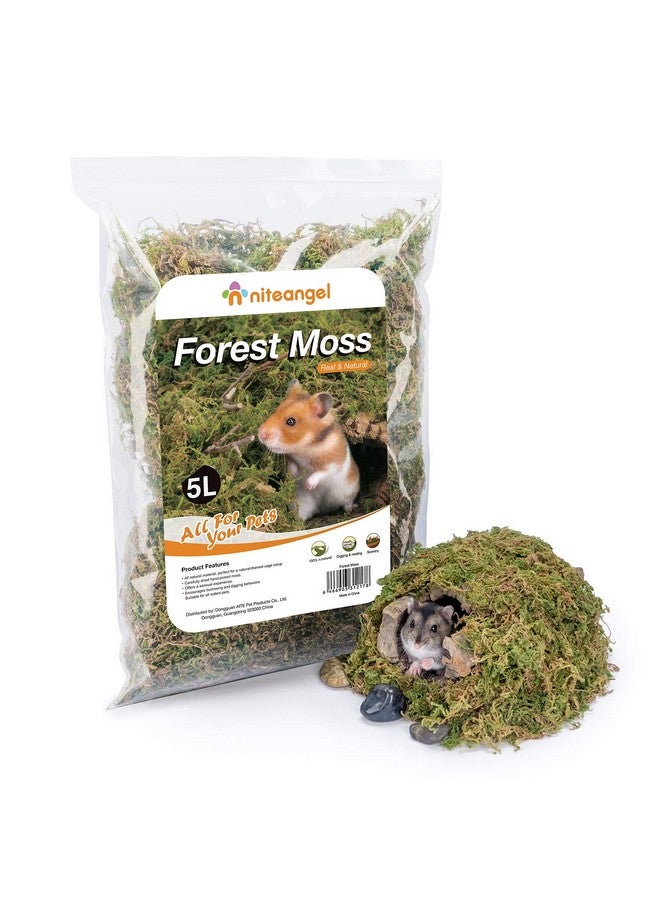Niteangel 5L Forest Moss Soft Natural Moss Bedding Nesting for Dwarf Syrian Hamsters, Gerbils, mices, Degus or Other Small Animal - Image 1