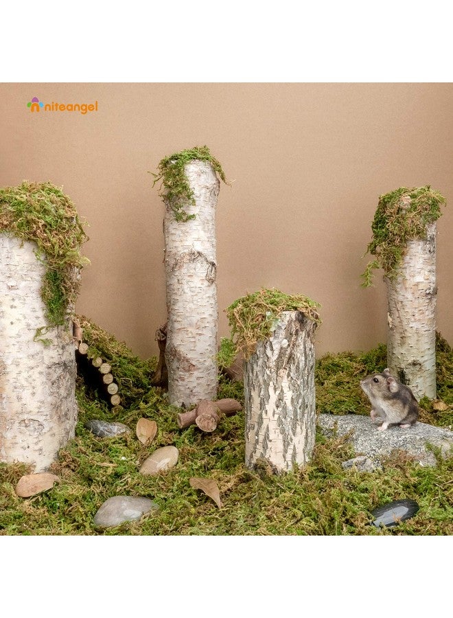 Niteangel 5L Forest Moss Soft Natural Moss Bedding Nesting for Dwarf Syrian Hamsters, Gerbils, mices, Degus or Other Small Animal - Image 2