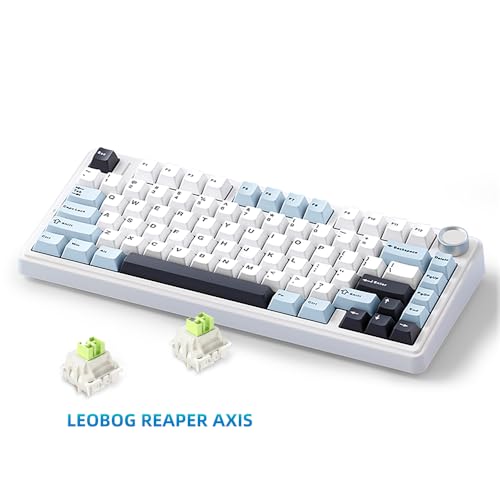 MOLGRIA x Aula F75 Gaming Keyboard, Triple Mode Connected 75% Light Blue Mechanical Keyboard with South-Facing RGB Backlit and Knob(Black,LEOBOG Reaper Switch) - Image 3