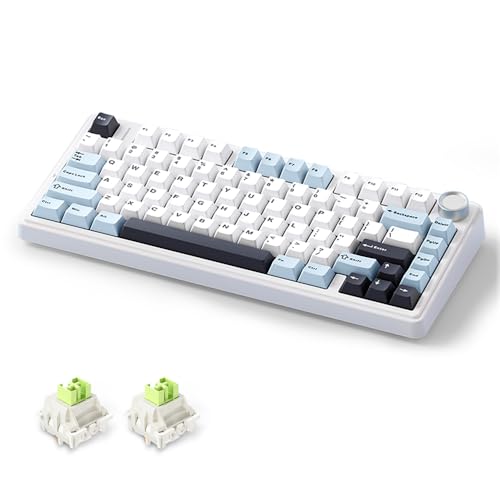 MOLGRIA x Aula F75 Gaming Keyboard, Triple Mode Connected 75% Light Blue Mechanical Keyboard with South-Facing RGB Backlit and Knob(Black,LEOBOG Reaper Switch) - Image 1