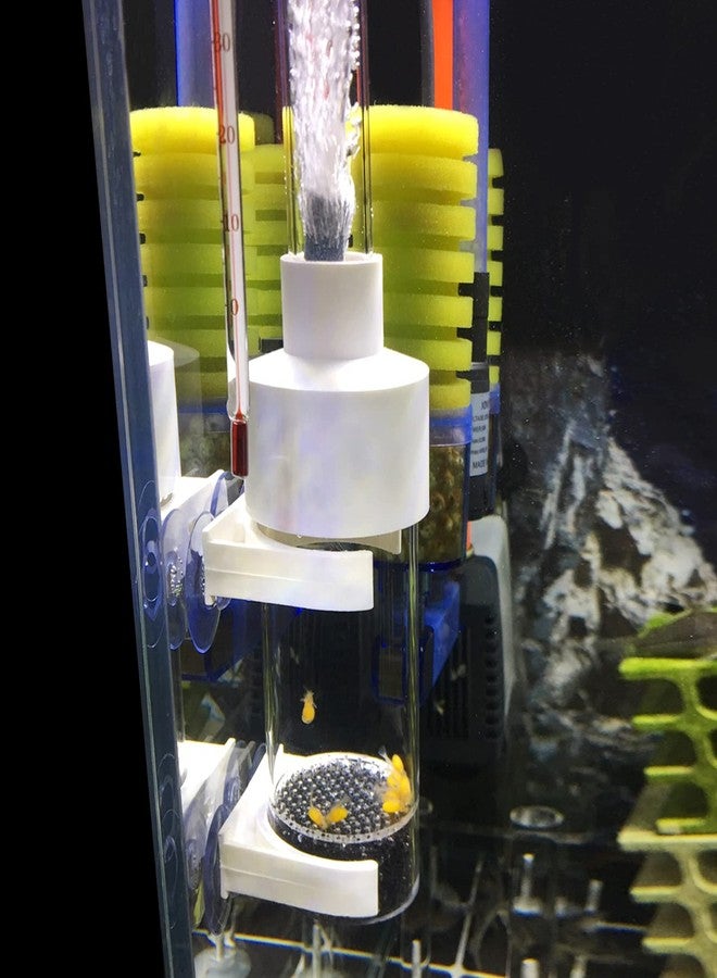 WEAVERBIRD 50mm Fish Hatchery Incubator, Aquarium Cichlids Egg Tumbler for Breeding in Tank - Image 4