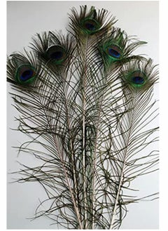 KASTWAVE Natural Peacock Feathers, 10 to 12-Inch Eyed Peacock Tail Feathers, DIY Craft Decoration for Weddings, Costumes – Set of 30 Peacock Feathers  - Image 2