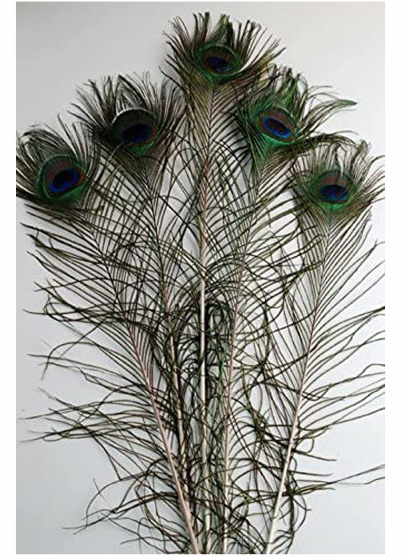KASTWAVE - Natural Peacock Feathers, 10 to 12-Inch Eyed Peacock Tail Feathers, DIY Craft Decoration for Weddings, Costumes – Set of 30 Peacock Feathers - Image 1