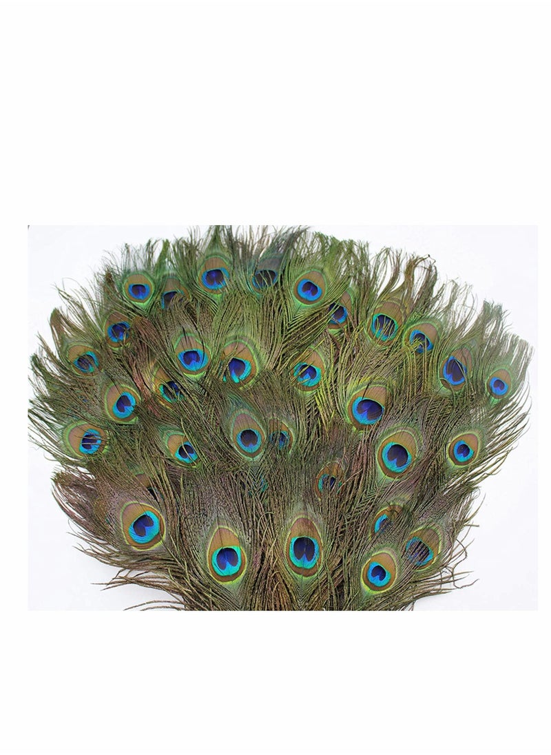 KASTWAVE - Natural Peacock Feathers, 10 to 12-Inch Eyed Peacock Tail Feathers, DIY Craft Decoration for Weddings, Costumes – Set of 30 Peacock Feathers - Image 1