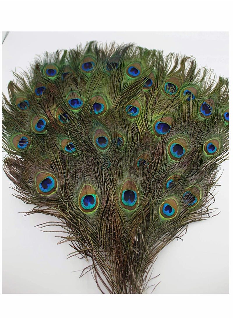 KASTWAVE - Natural Peacock Feathers, 10 to 12-Inch Eyed Peacock Tail Feathers, DIY Craft Decoration for Weddings, Costumes – Set of 30 Peacock Feathers - Image 1