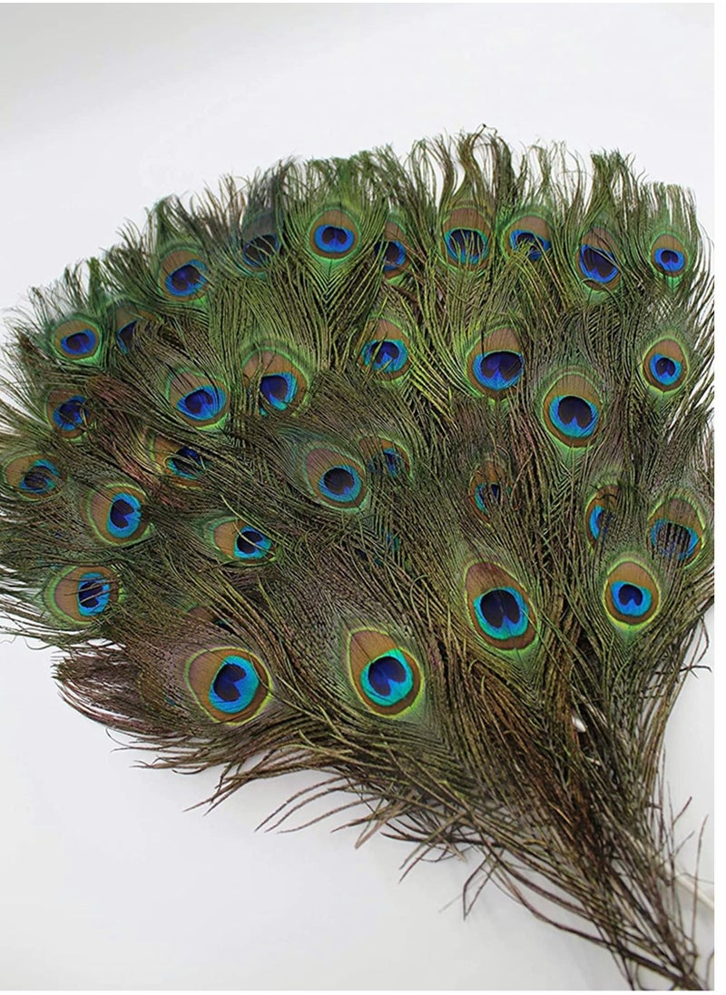 KASTWAVE - Natural Peacock Feathers, 10 to 12-Inch Eyed Peacock Tail Feathers, DIY Craft Decoration for Weddings, Costumes – Set of 30 Peacock Feathers - Image 1