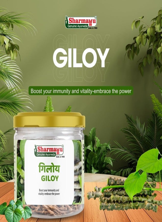 Sharmayu Giloy | Pure & Natural Ayurvedic Giloy Sticks for Immunity Boosting & Vitality | Supports Detoxification & Respiratory Health | 100g Herbal Supplement - Image 2