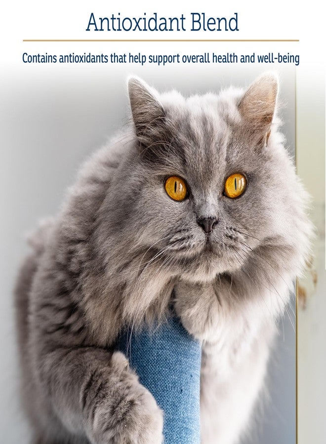 ركس فيتامينز مكمل غذائي لدعم المناعة للكلاب والقطط من آر إكس فيتامينز أونكو سبورت - يحتوي على شوك الحليب، سبيرولينا، ومسحوق عشب البحر - يساعد على صحة الأمعاء ودعم الجهاز الهضمي - 300 غرام - Image 4