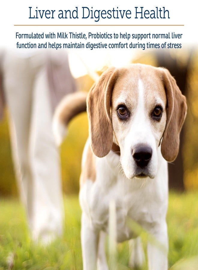 ركس فيتامينز مكمل غذائي لدعم المناعة للكلاب والقطط من آر إكس فيتامينز أونكو سبورت - يحتوي على شوك الحليب، سبيرولينا، ومسحوق عشب البحر - يساعد على صحة الأمعاء ودعم الجهاز الهضمي - 300 غرام - Image 3