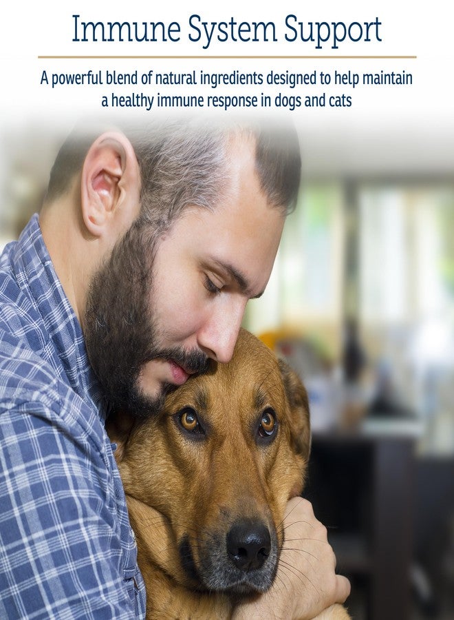 ركس فيتامينز مكمل غذائي لدعم المناعة للكلاب والقطط من آر إكس فيتامينز أونكو سبورت - يحتوي على شوك الحليب، سبيرولينا، ومسحوق عشب البحر - يساعد على صحة الأمعاء ودعم الجهاز الهضمي - 300 غرام - Image 2