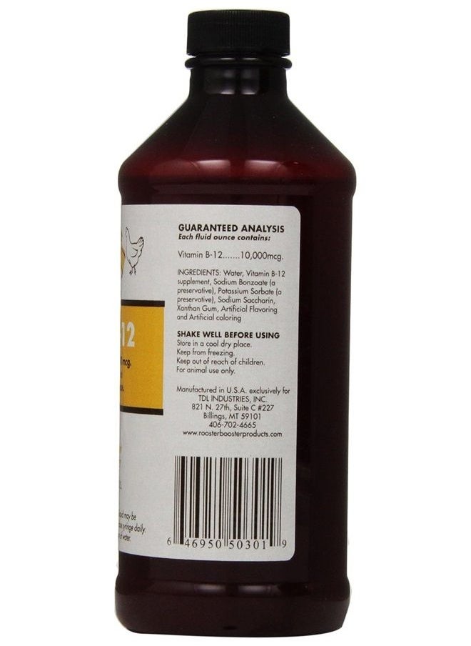 B-12 Liquid, 16-Ounce - pzsku/Z0388A17912317BD01172Z/45/_/1681658887/0114a0ea-00ef-466b-bd6c-96bc612ea3b8