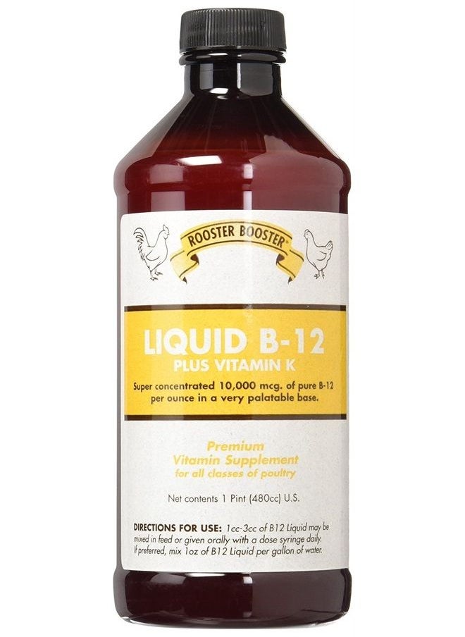 B-12 Liquid, 16-Ounce - pzsku/Z0388A17912317BD01172Z/45/_/1689281072/f38084f9-b63b-432d-a77b-2858b58dd95b