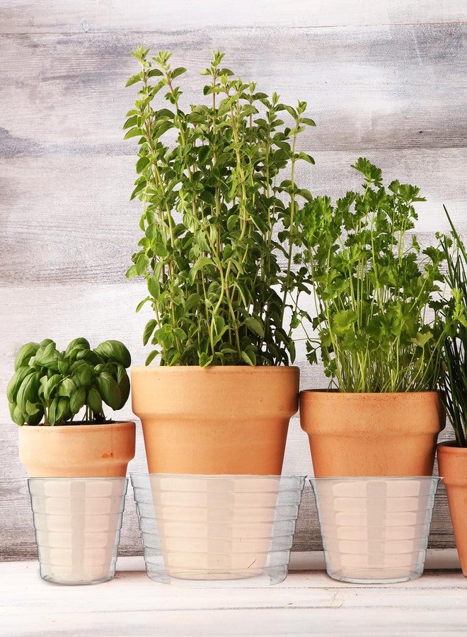 Hoolerry 15 Pieces Plastic Plant Saucer Clear Deep Drip Tray Thickened Clear Plant Saucers Plant Trays for Pots Plant Drip Trays for Home Garden Indoor and Outdoor Potted Plants (4, 6, 8 Inch) - Image 4