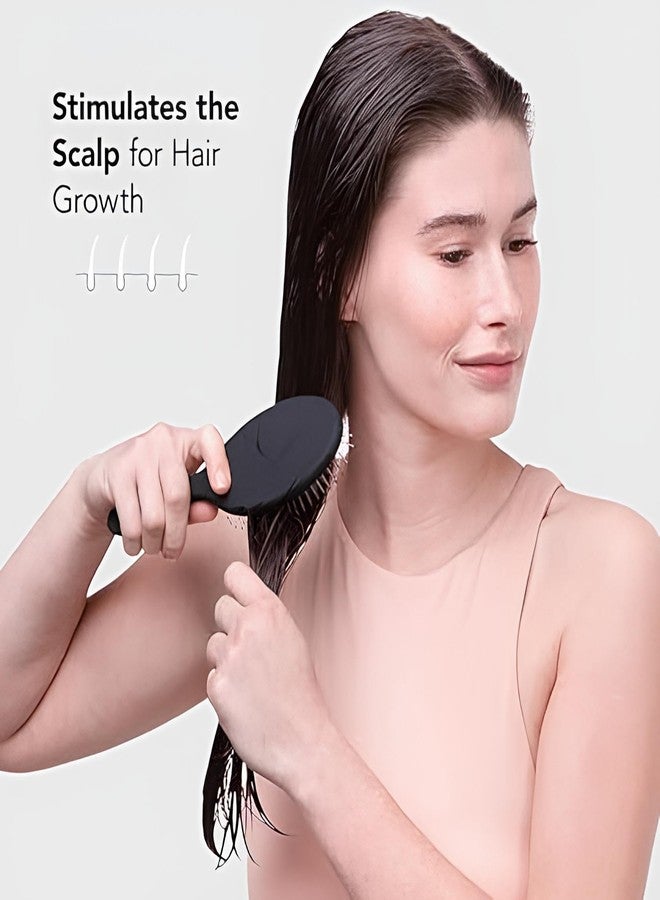 Hector Professional Hair Detangling Brush - Soft Bristle Hair Brushes For Women | Straight & Curly Wet Dry Brush | Travel Brush (Black, 1 Pc) - Image 5