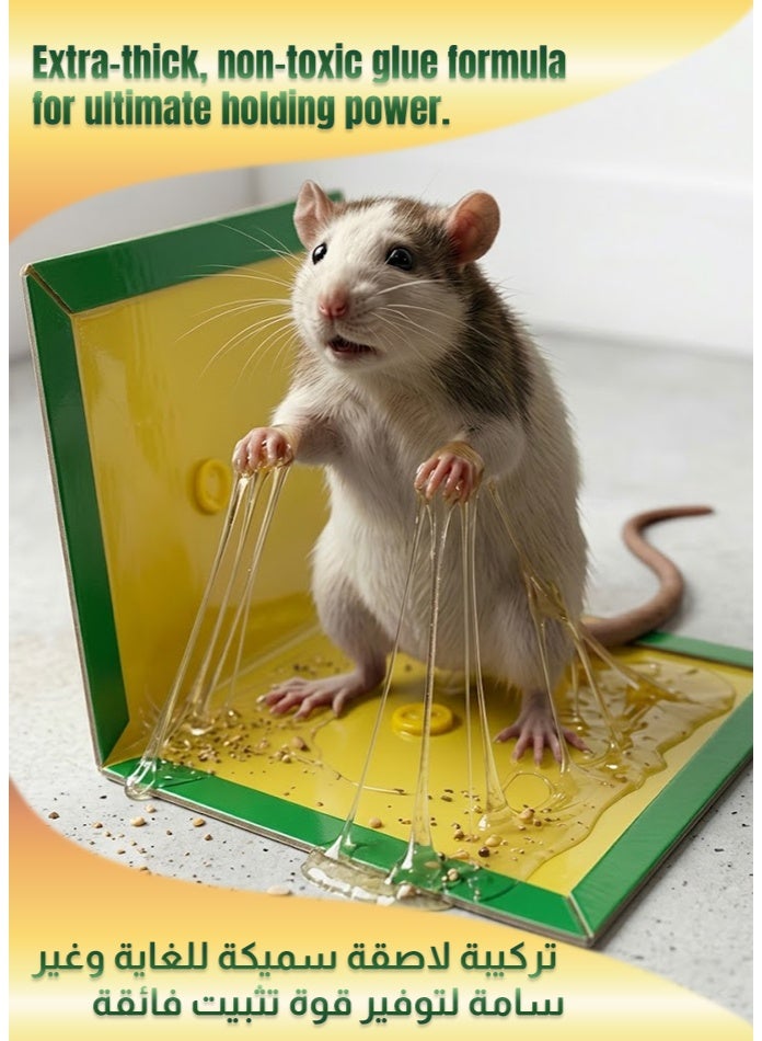 general Rat Glue Board – Strong Sticky Mouse & Rat Trap, Foldable Non-Poison Glue Pad with Peanut Butter Scent, Ready to Use Rodent Trap for Home, Kitchen & Warehouse - Image 4