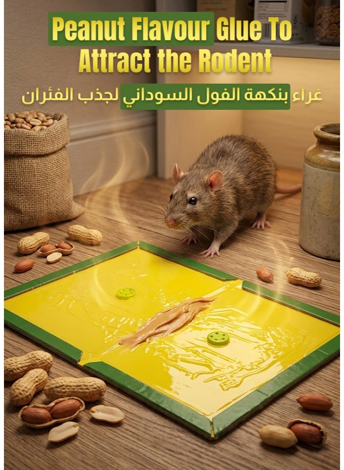 general Rat Glue Board – Strong Sticky Mouse & Rat Trap, Foldable Non-Poison Glue Pad with Peanut Butter Scent, Ready to Use Rodent Trap for Home, Kitchen & Warehouse - Image 5