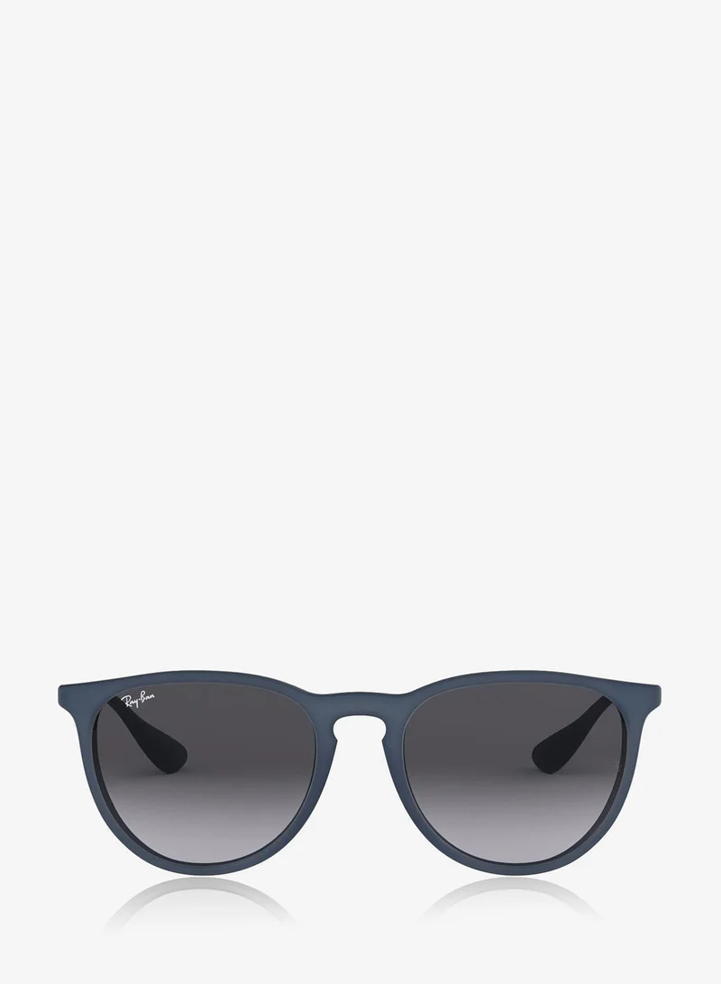Ray-Ban 0Rb4171 Round Sunglasses