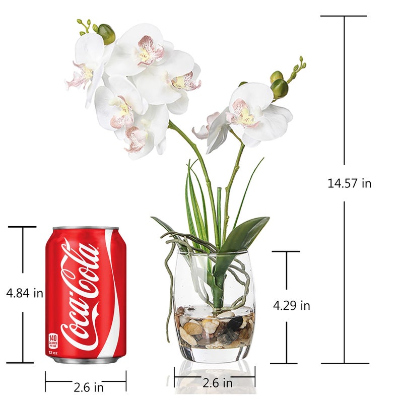 Jusdreen 1 Pcs Glass Vase Artificial Orchid Flower Bonsai Vivid Phalaenopsis Flowers Potting for Home Office D?cor Table Centerpiece Room Decorations 14.5 INCH (Glass Vase/White Orchid) - Image 2