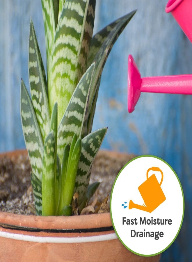 PERFECT PLANTS تربة عضوية مثالية لنبات الثعبان في كيس سعة 8 كوارت | مزيج تربة للزراعة في أصص مصنوعة من ألياف جوز الهند لأنواع مختلفة من نبات الثعبان - Image 4