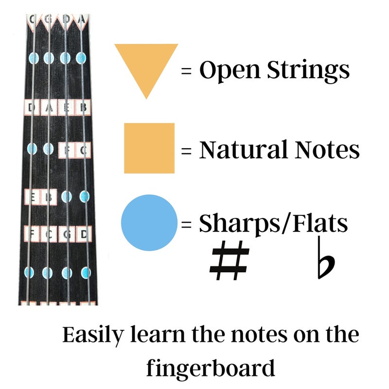 FFG NOTE THE DIFFERENCE Fantastic Finger Guide for Violas | Stringed Musical Instruments | Fingerboard and Fretboard Stickers for Learning All Notes | Kids/Adult Beginner Viola Finger Guide |14" Size - Image 4